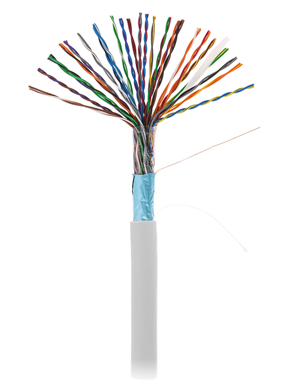 Кабель FTP 25PR 24AWG CAT5 Netlan, 305 м